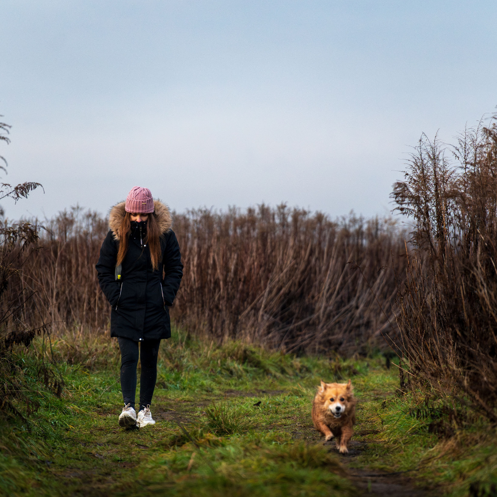 Woman walking a dog alone